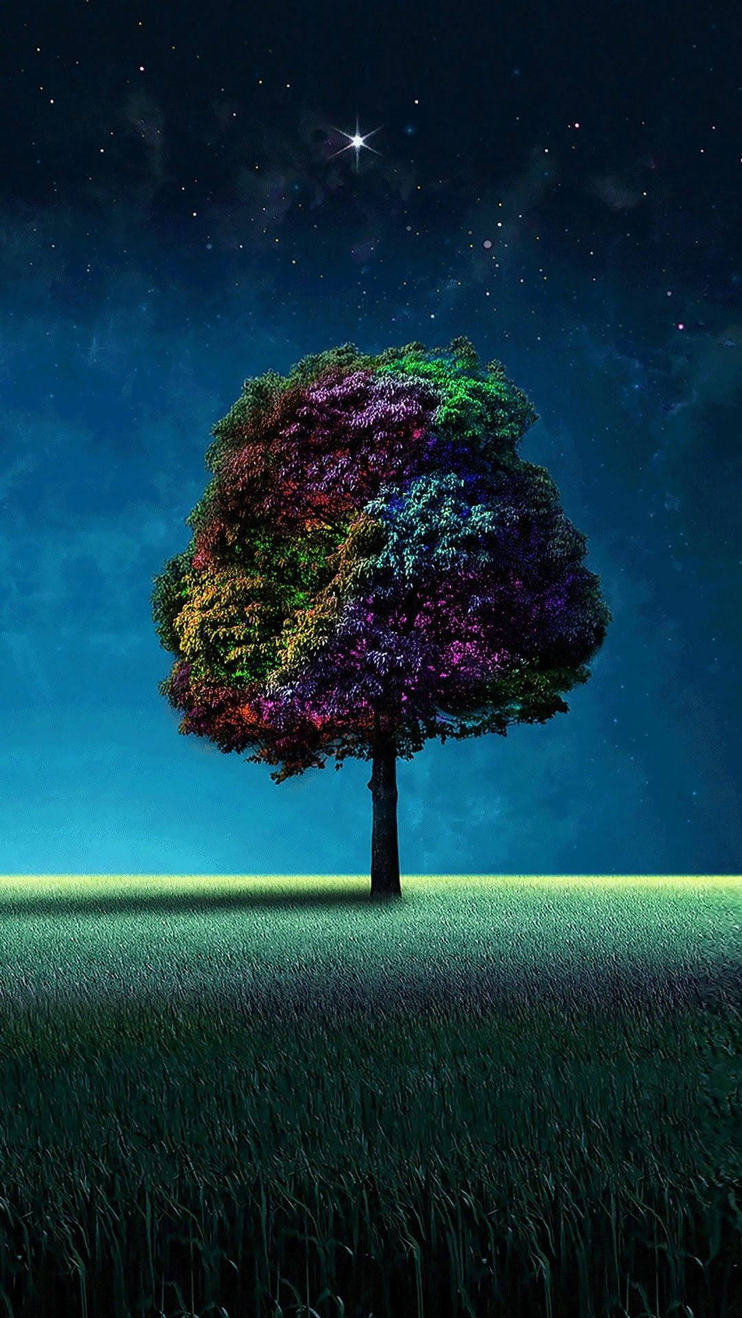 Multicolor Tree At Night Background