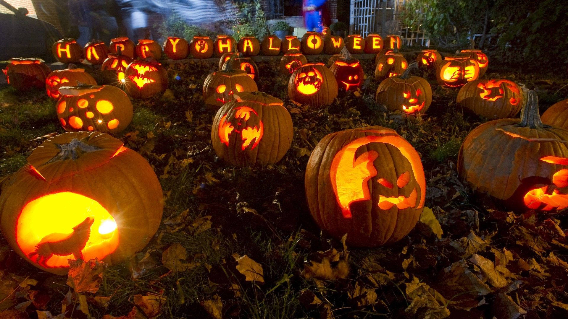 Multiple Carved Pumpkins Halloween Computer Background