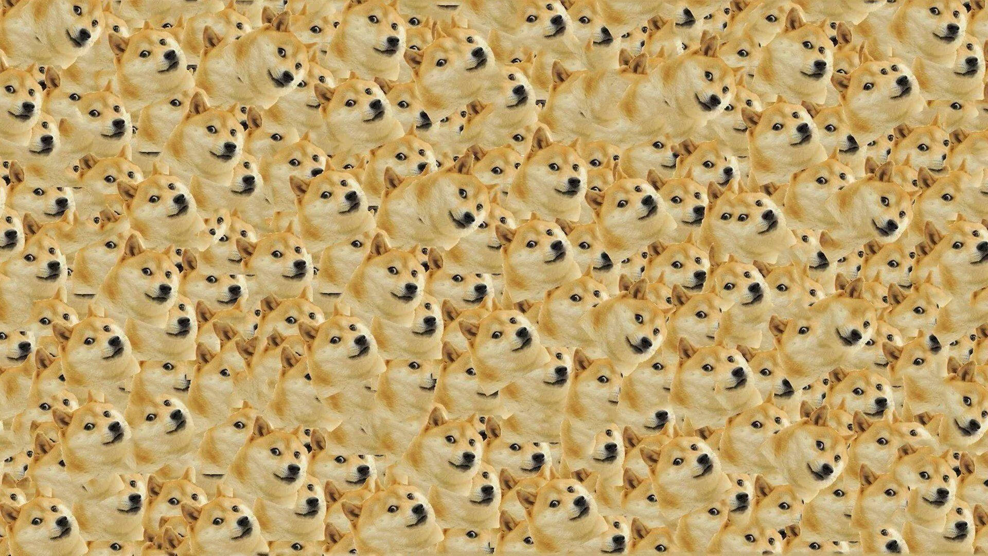 Multiple Doge Shiba Inu Faces Meme Background