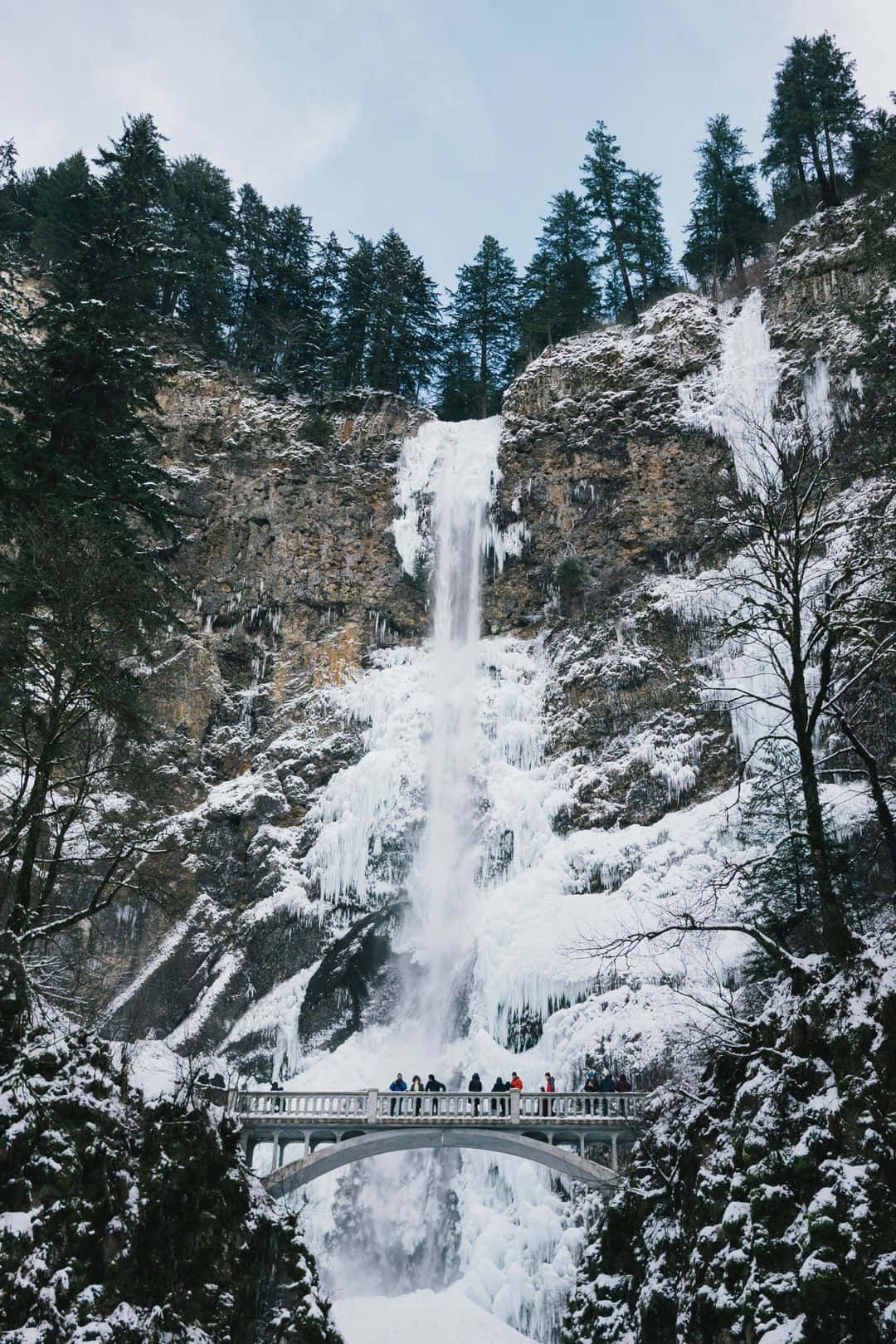 Multnomah Falls Long Shot Nature Aesthetic Phone