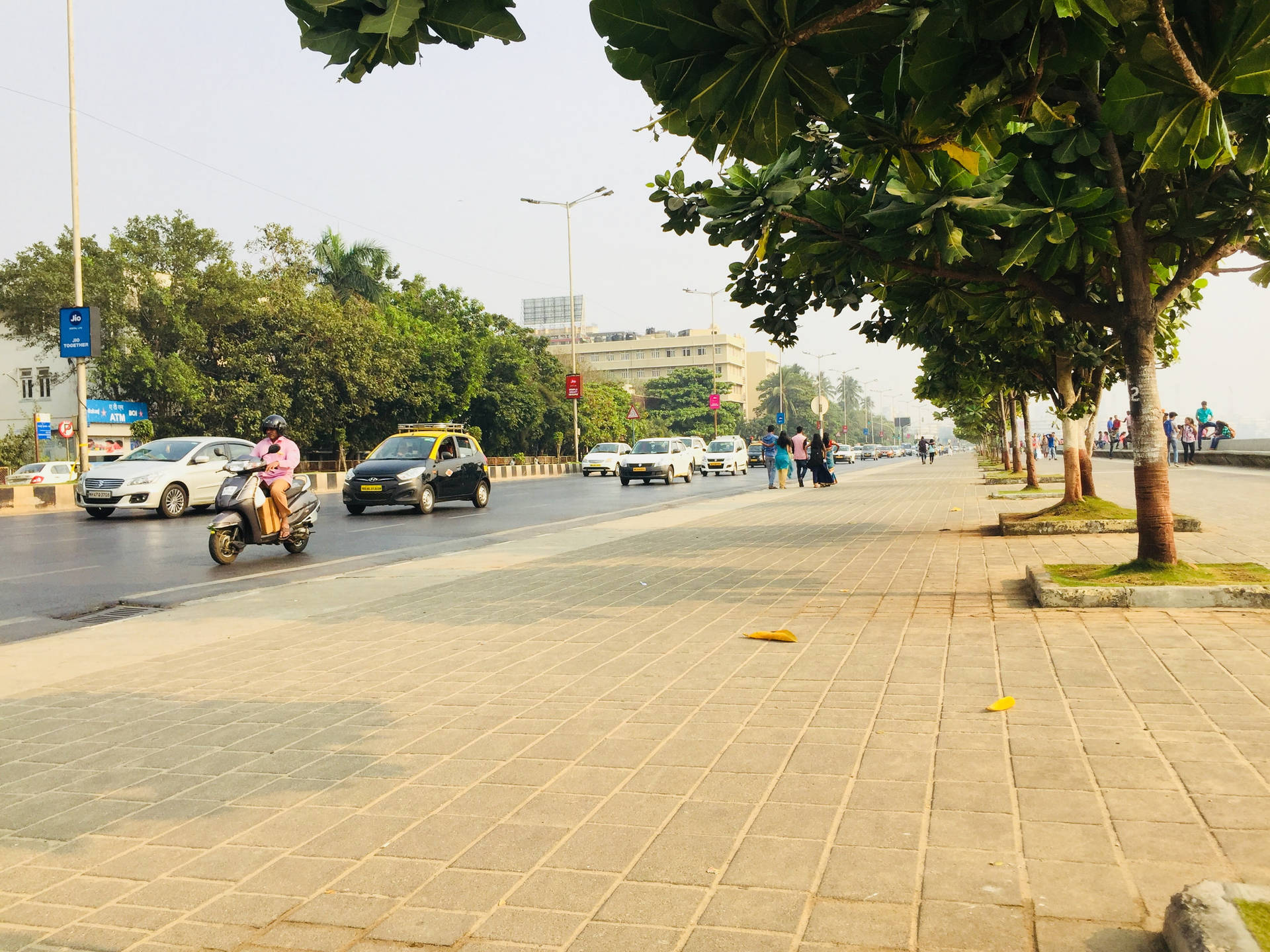 Mumbai City Roadside Park Background