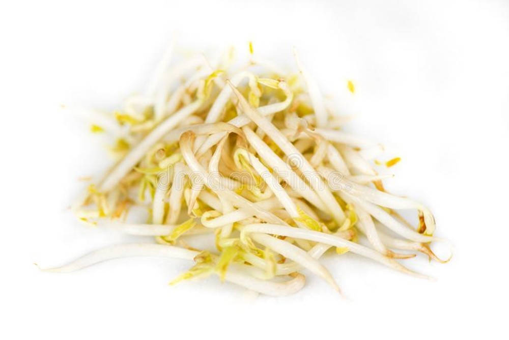 Mung Bean Sprouts Healthy Vegetable Background