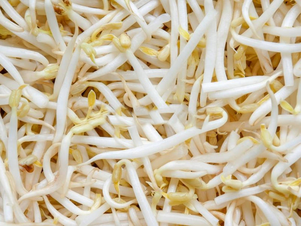 Mung Bean Sprouts Vegetable Macro Shot