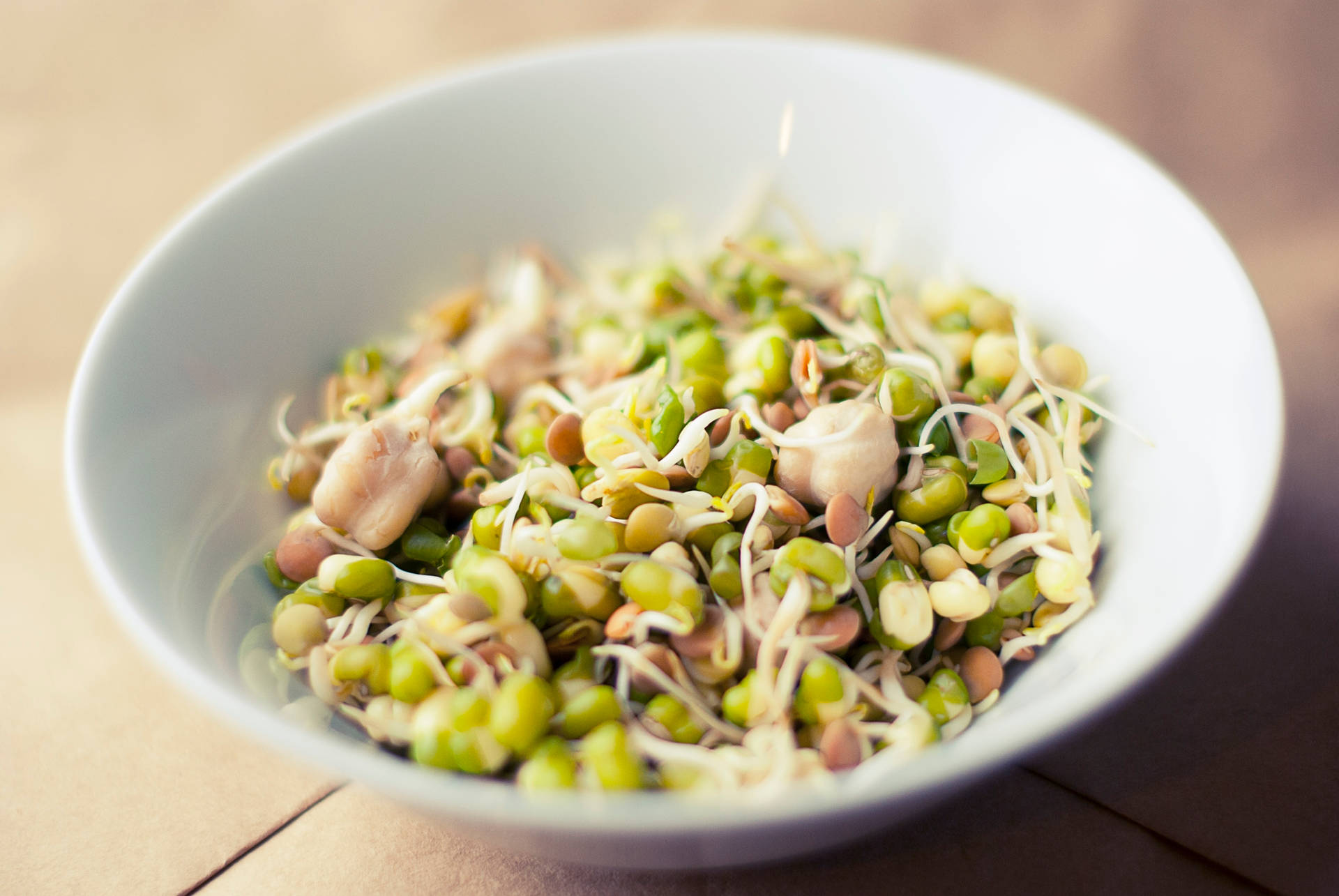 Mung Bean Sprouts Vegetable White Bowl Background