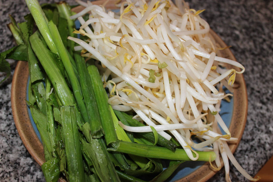 Mung Bean Sprouts With Cilantro Vegetables Background