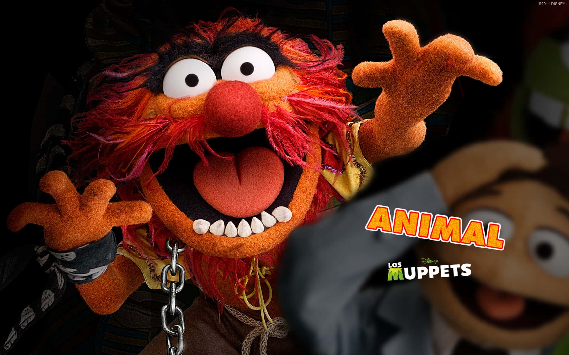 Muppet Animal Wallpaper Background