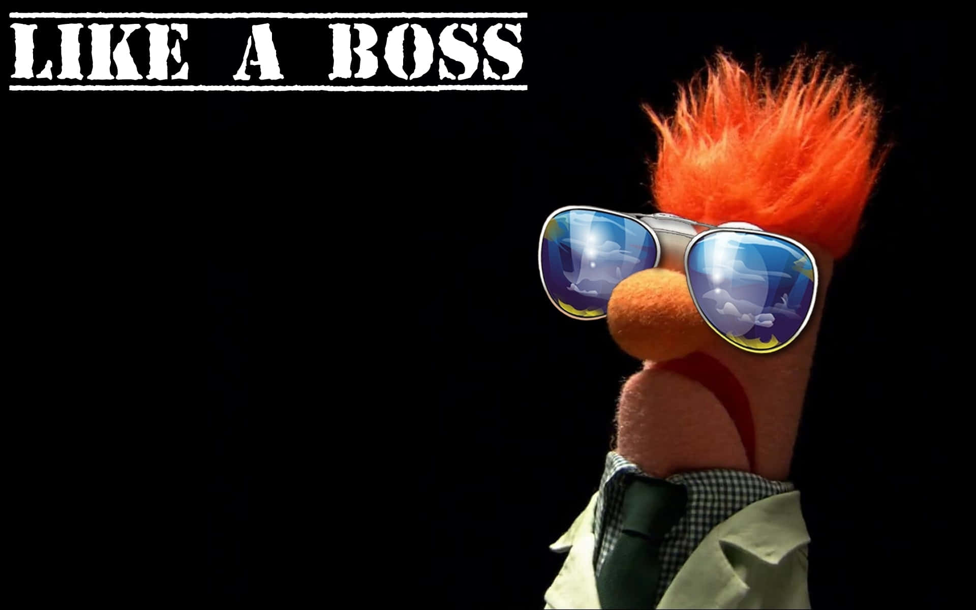 Muppet Boss Attitude Background