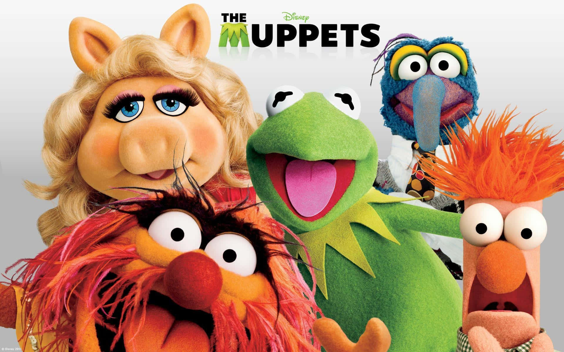 Muppets Group Portrait Background