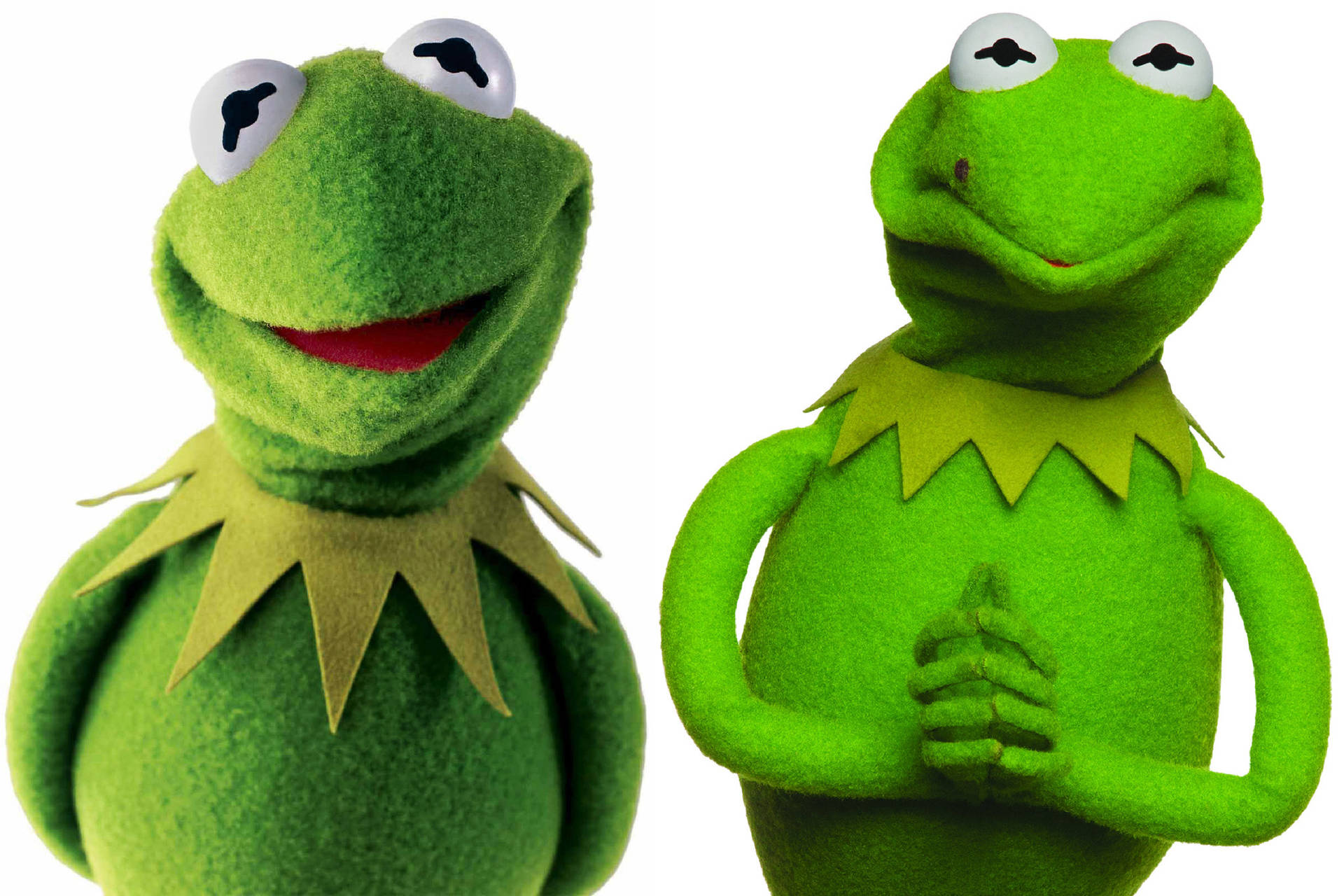 Muppets Most Wanted Constantine And Kermit Background