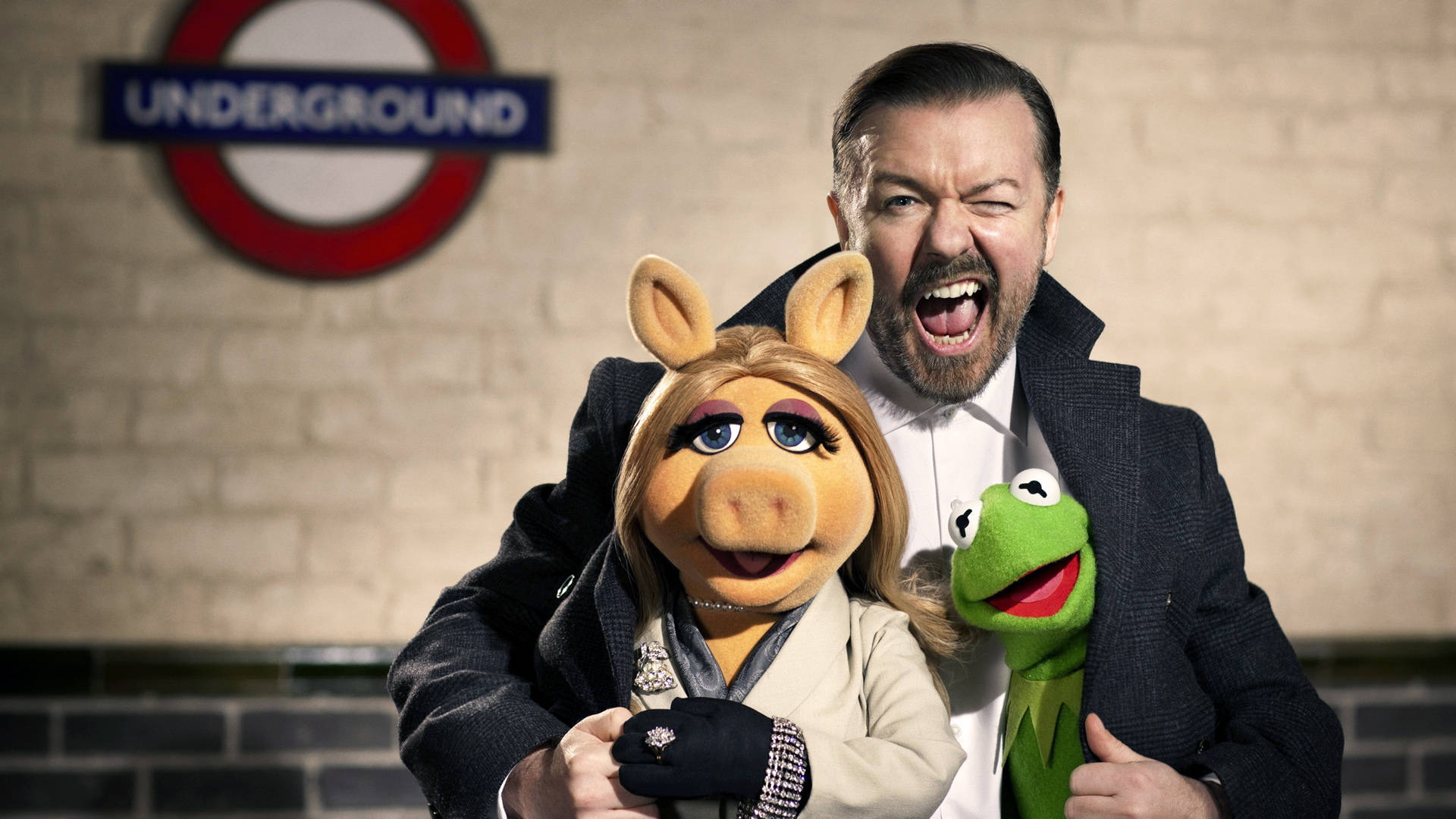 Muppets Most Wanted Dominic, Miss Piggy, Kermit Background