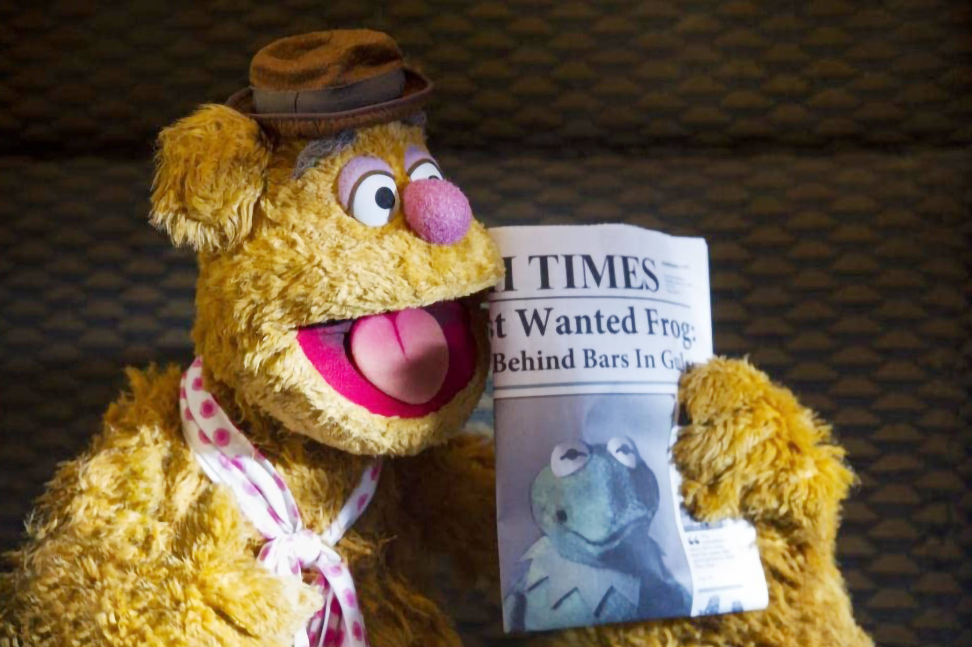 Muppets Most Wanted Fozzie Newspaper Background