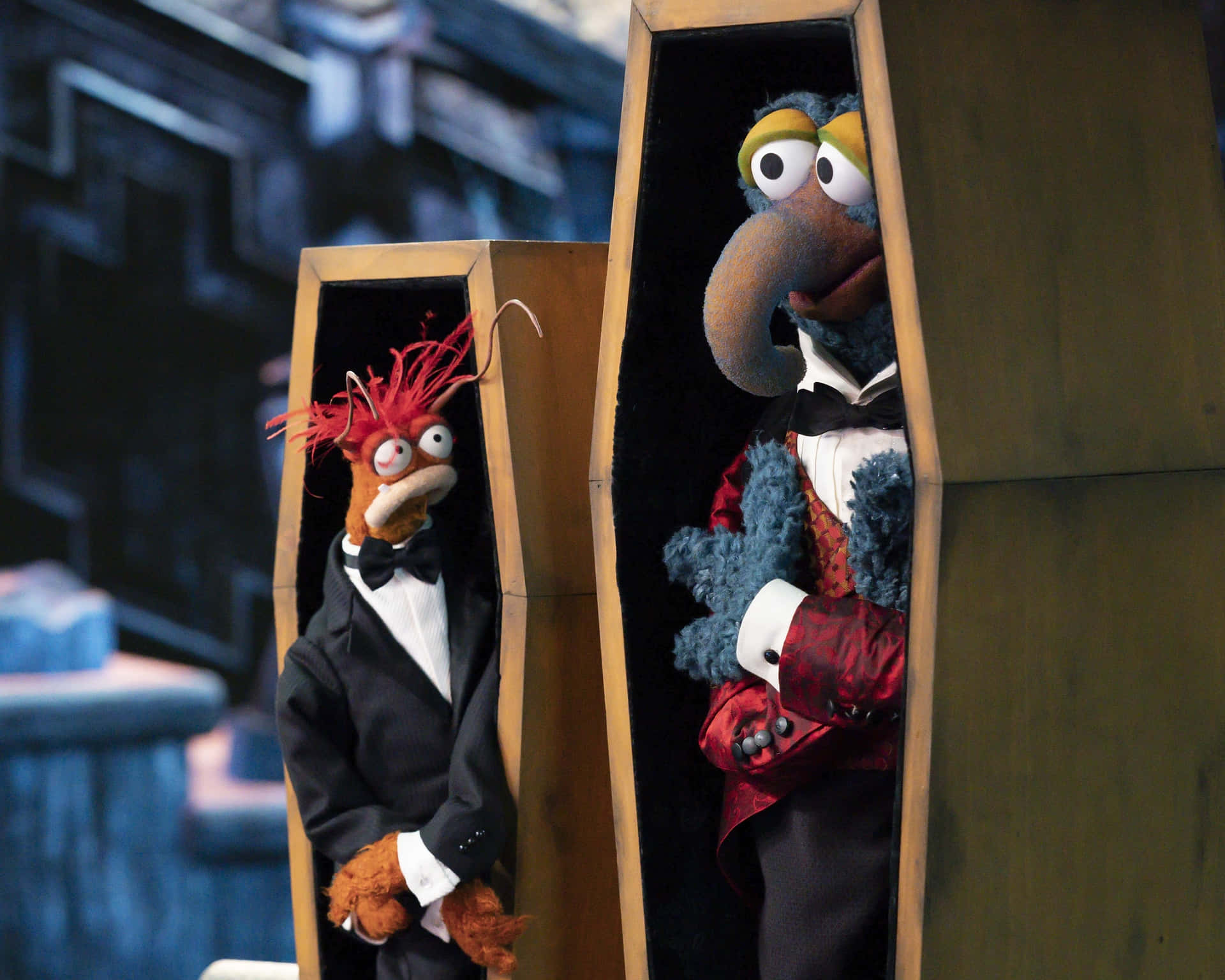 Muppets Peeking From Coffins