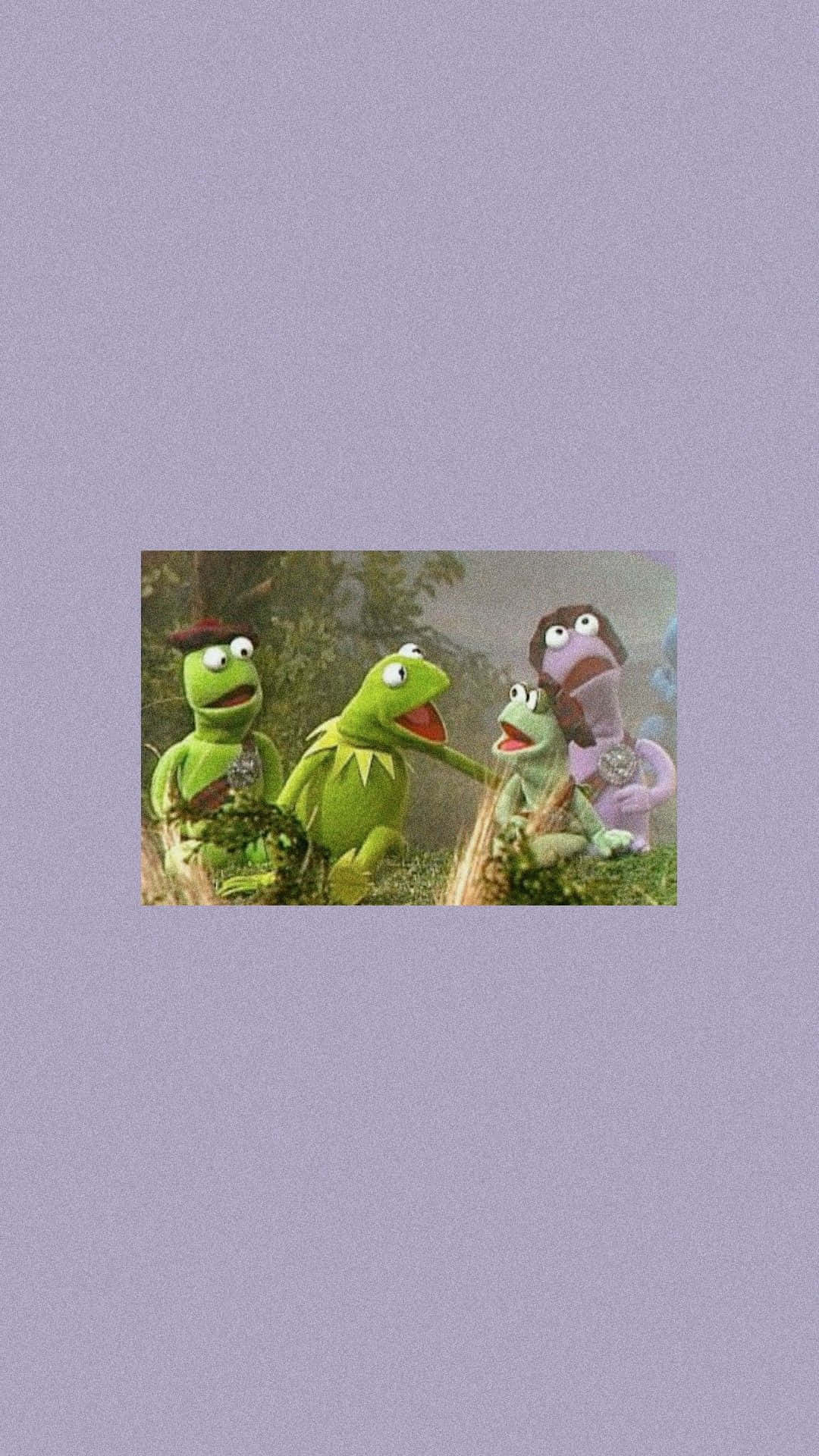 Muppets - The Muppets - Frogs Background