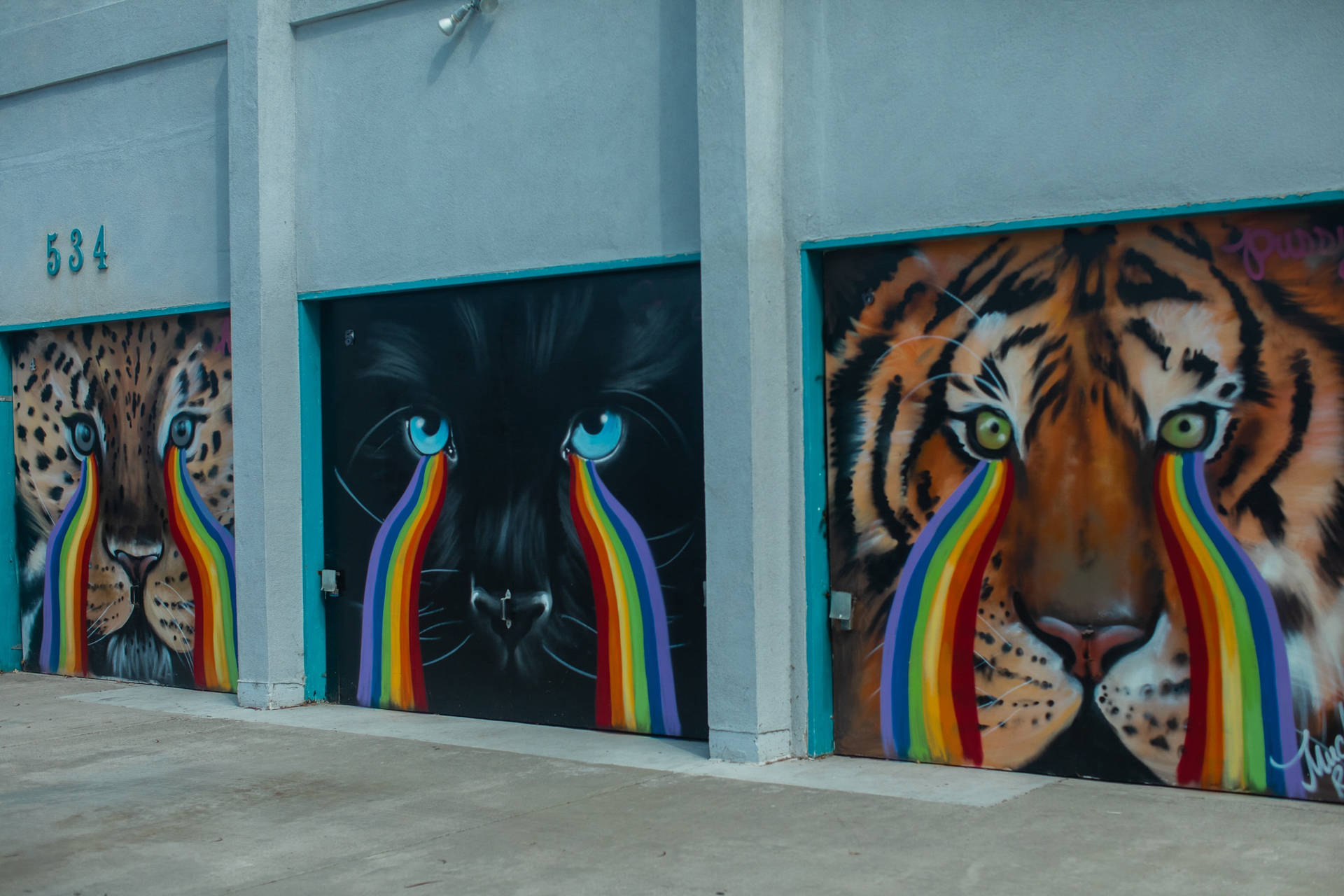 Mural Tiger Iphone
