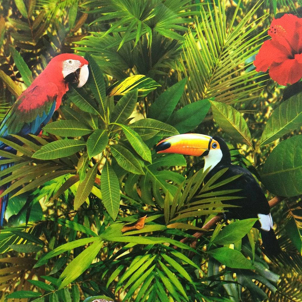 Muriva Tropical Jungle Bird Parrot Background