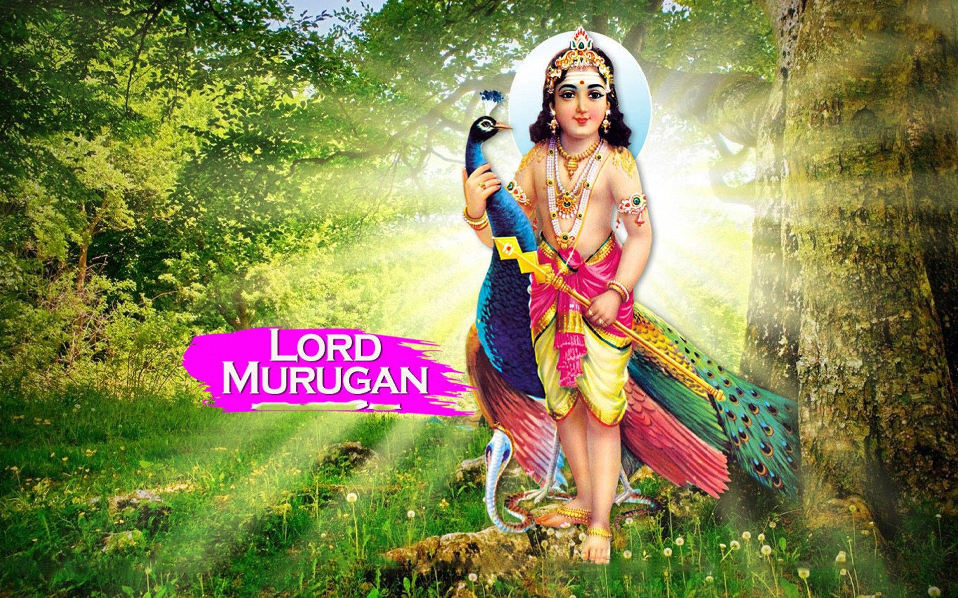 Murugan With Peacock In Forest Background