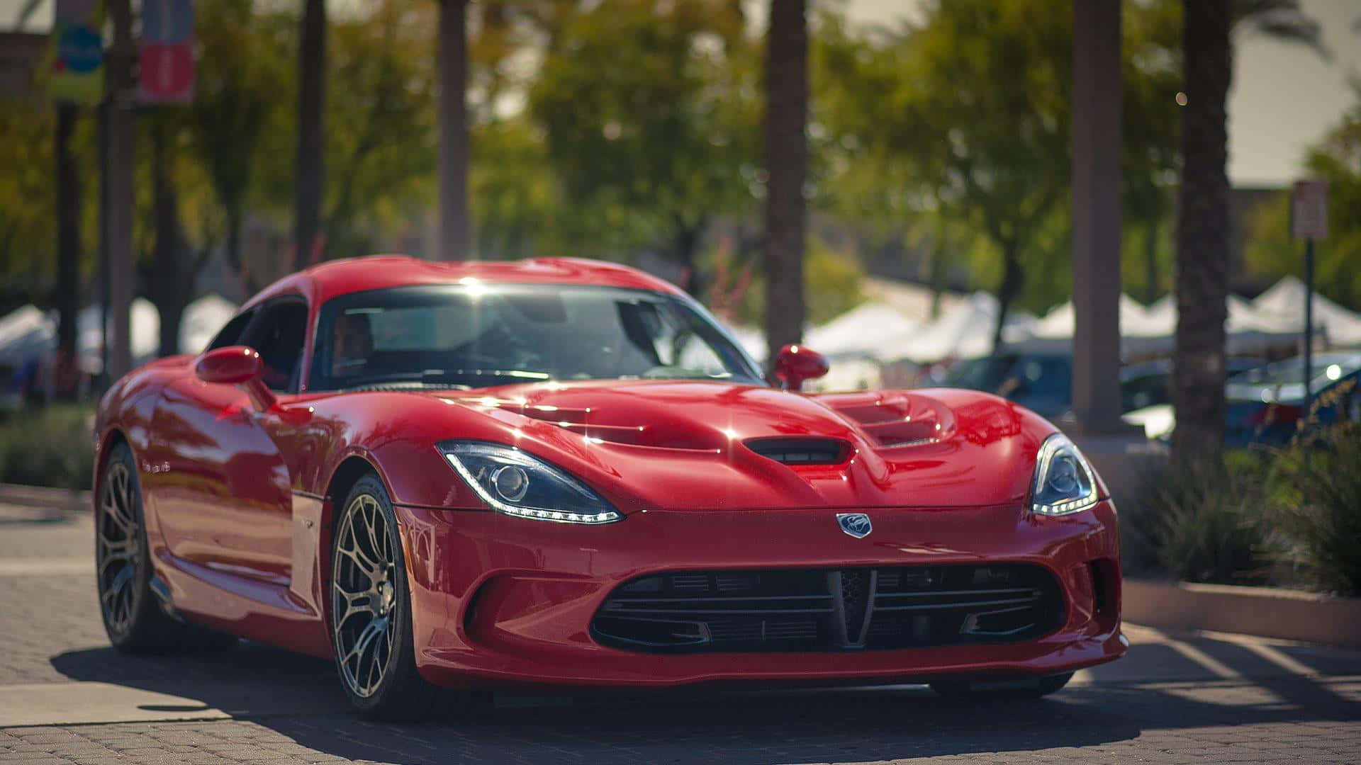 Muscle, Meet Luxury Background