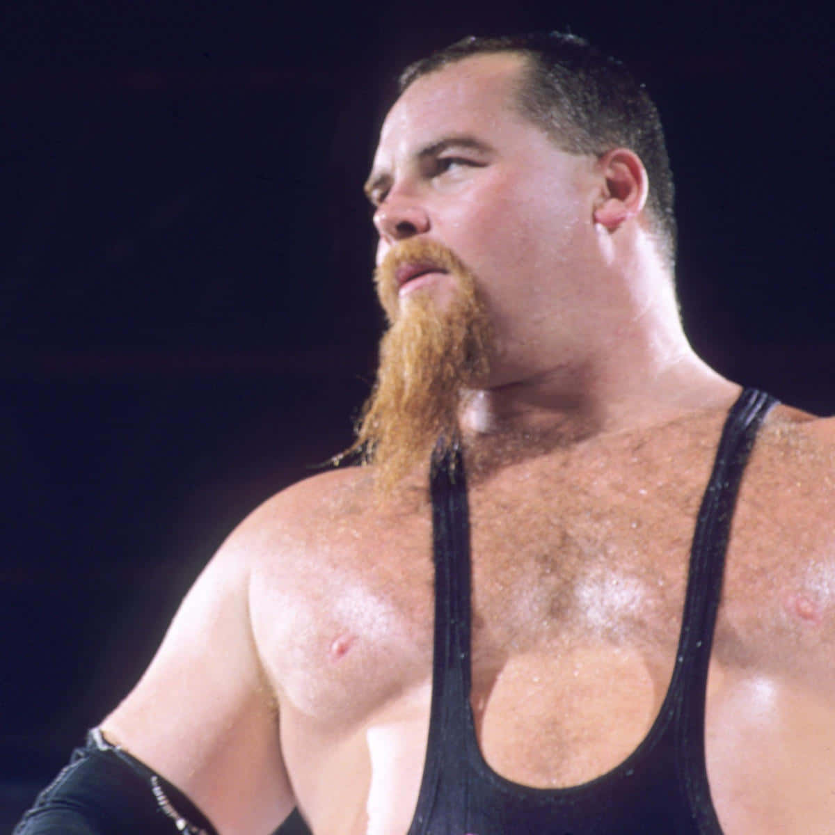 Muscular Body Jim Neidhart Background