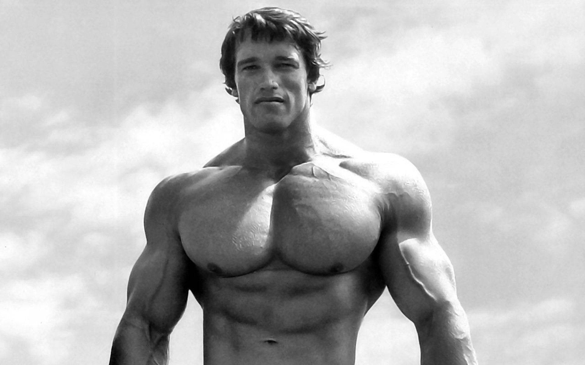 Muscular Physique Of Arnold Schwarzenegger Background