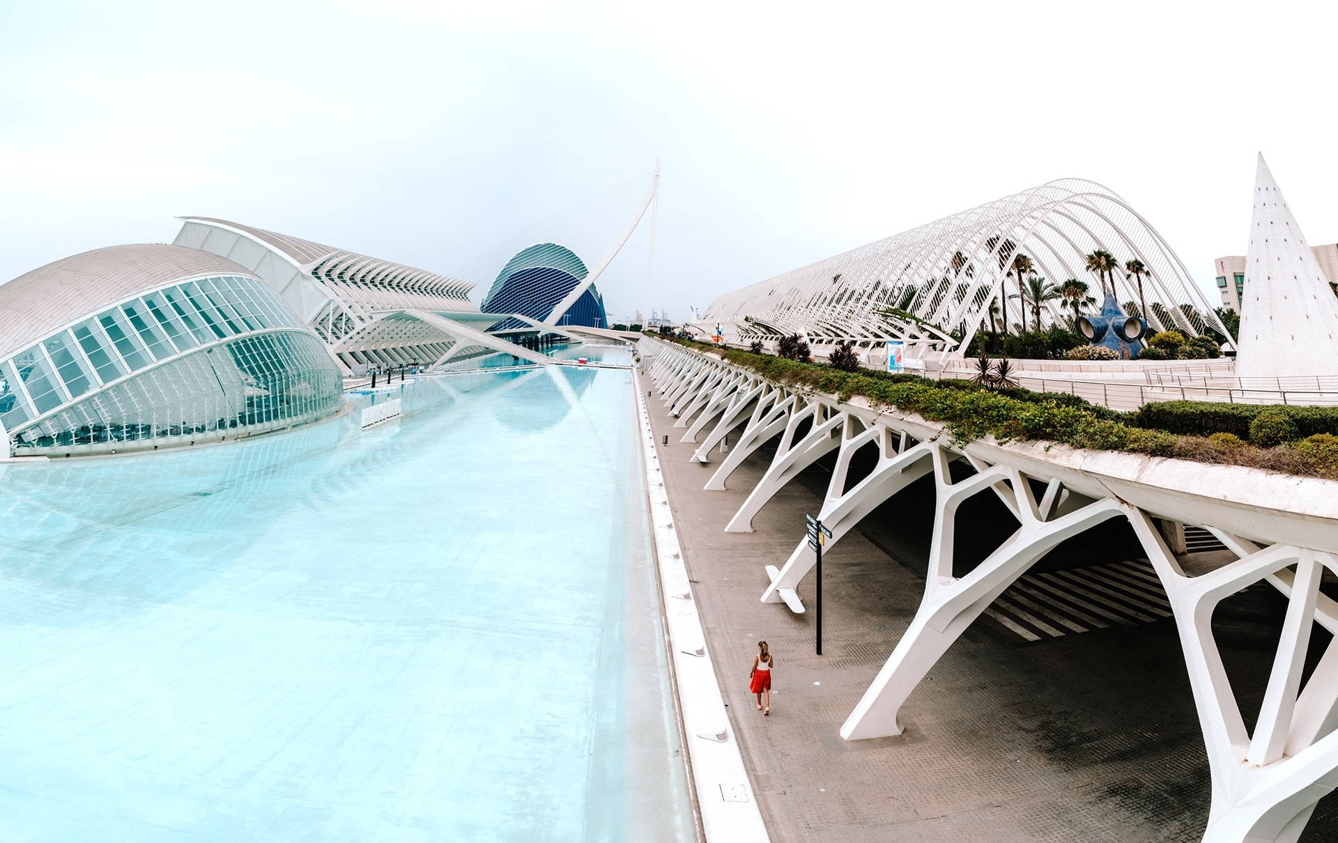 Museu De Les Ciències Príncipe Felipe Valencia