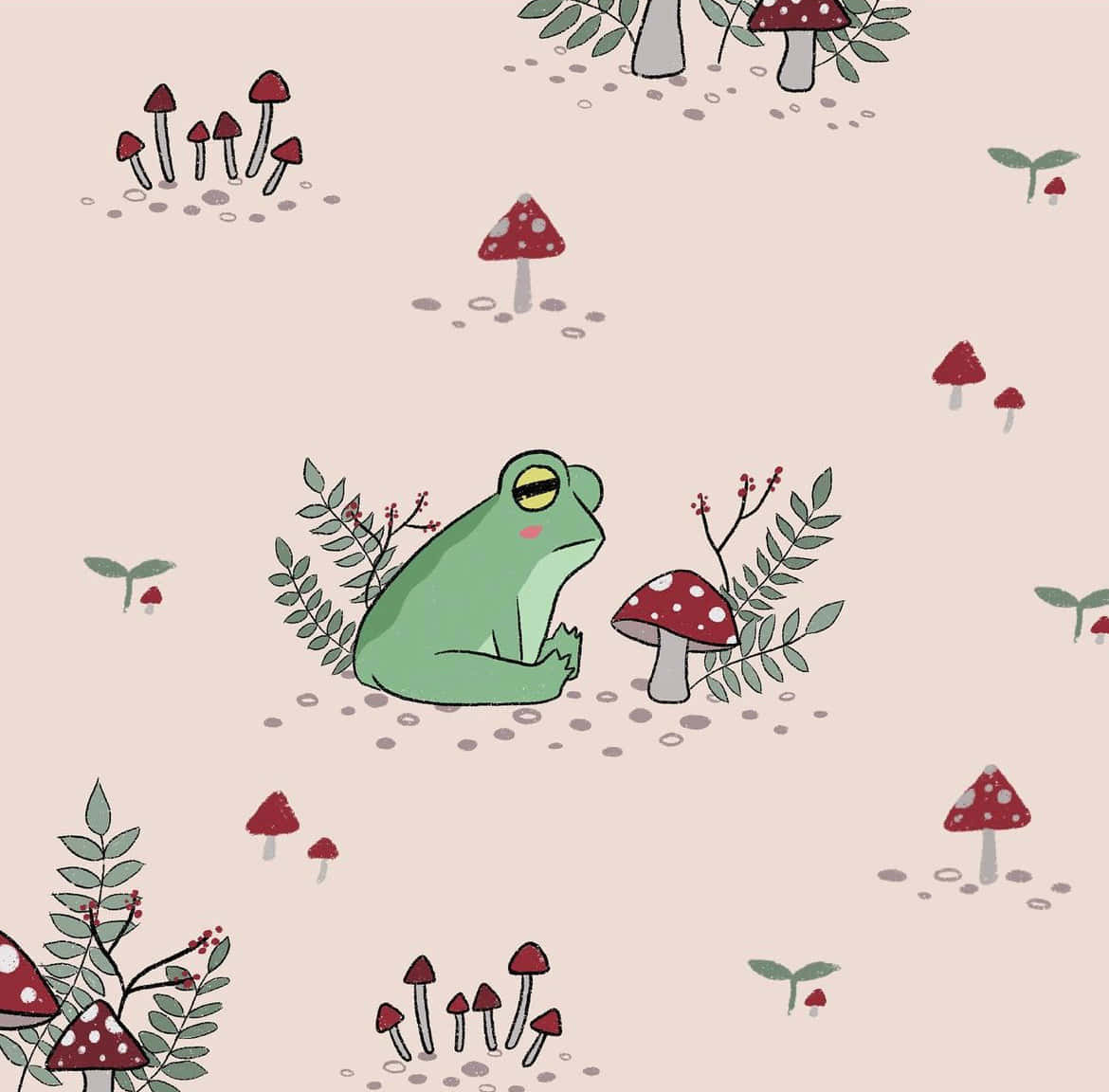 Mushroom Frog Illustration Background
