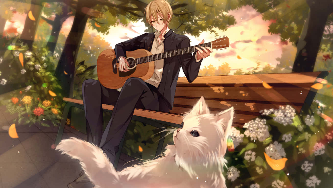 Music Anime Guitar And White Cat