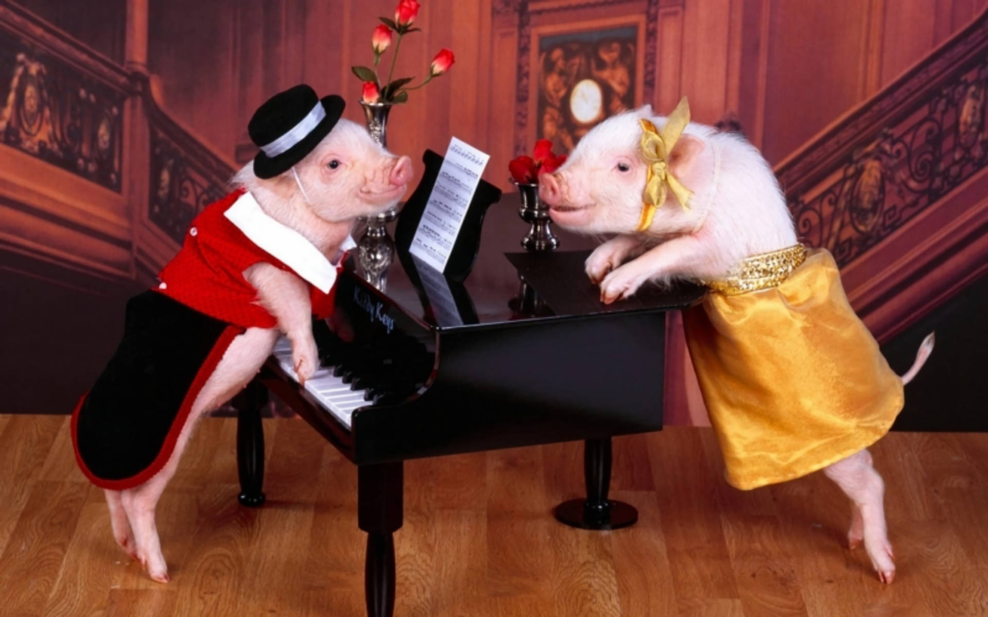 Musician Pigs In Costumes