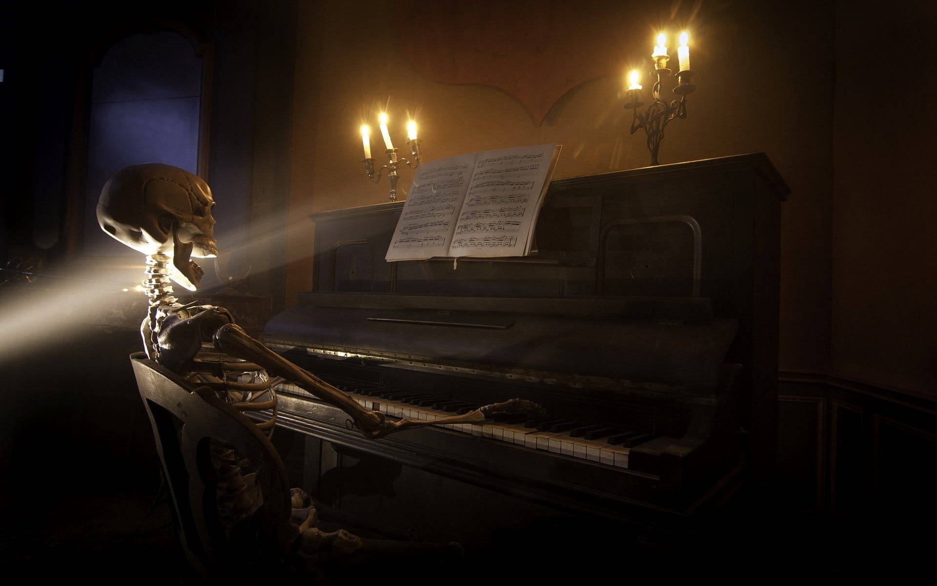 Musician Skeleton Desktop Background