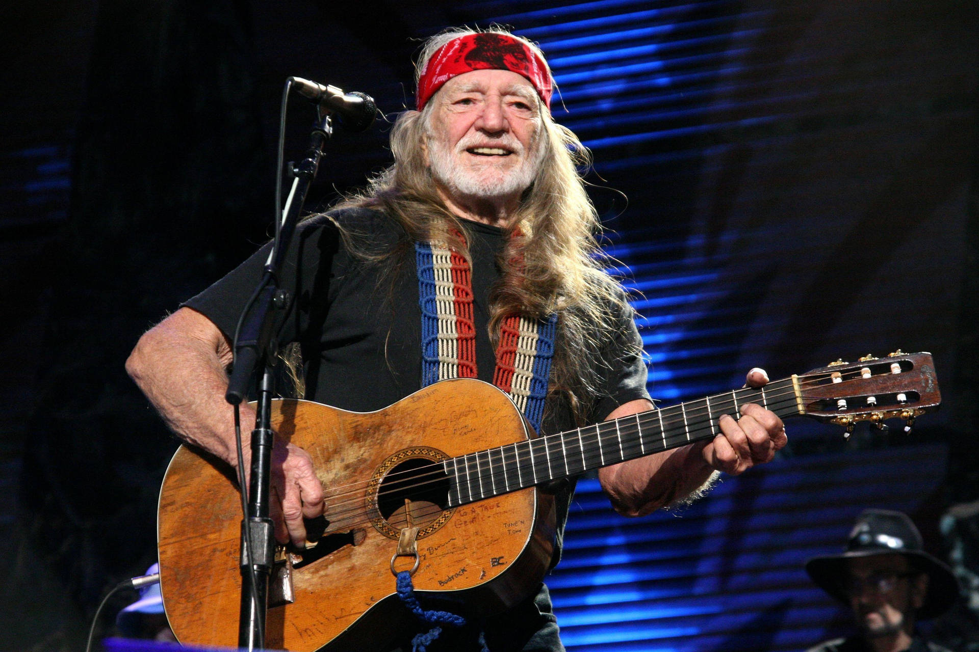 Musician Willie Nelson Concert Performance