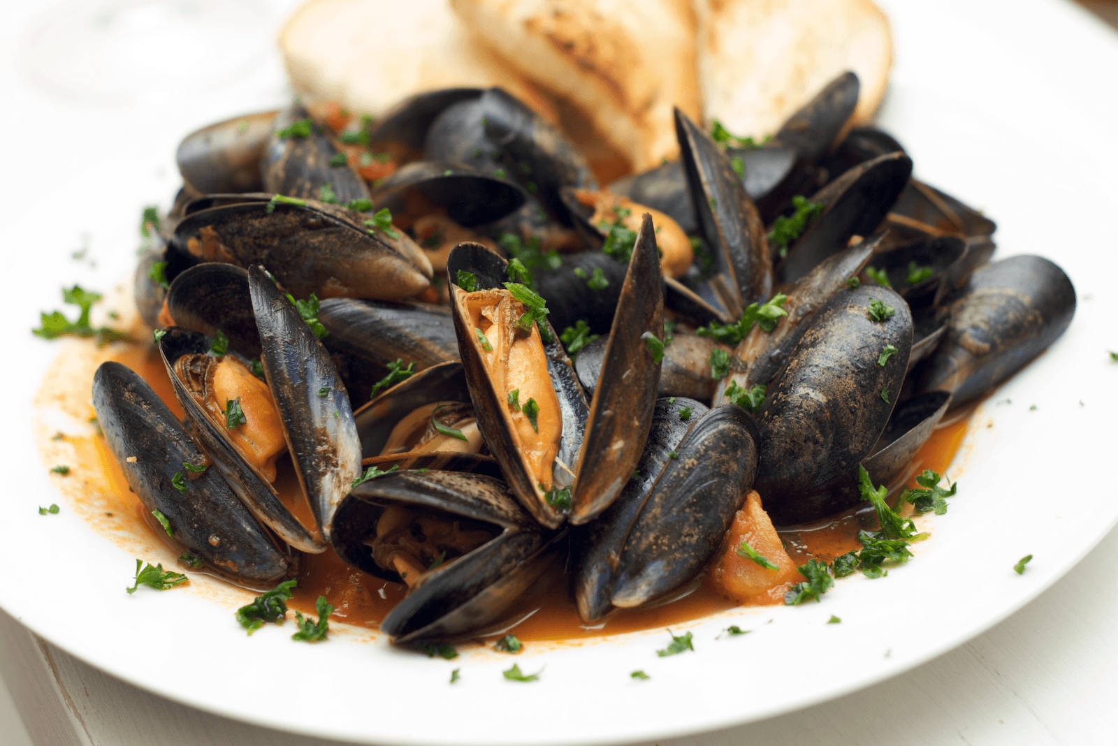 Mussel And Clam Soup Seafood Dish Background