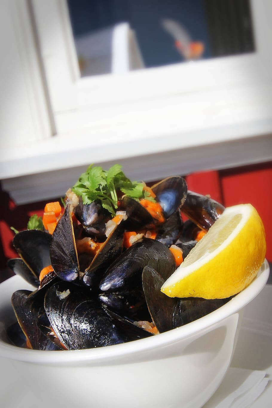 Mussel Served On White Bowl Background