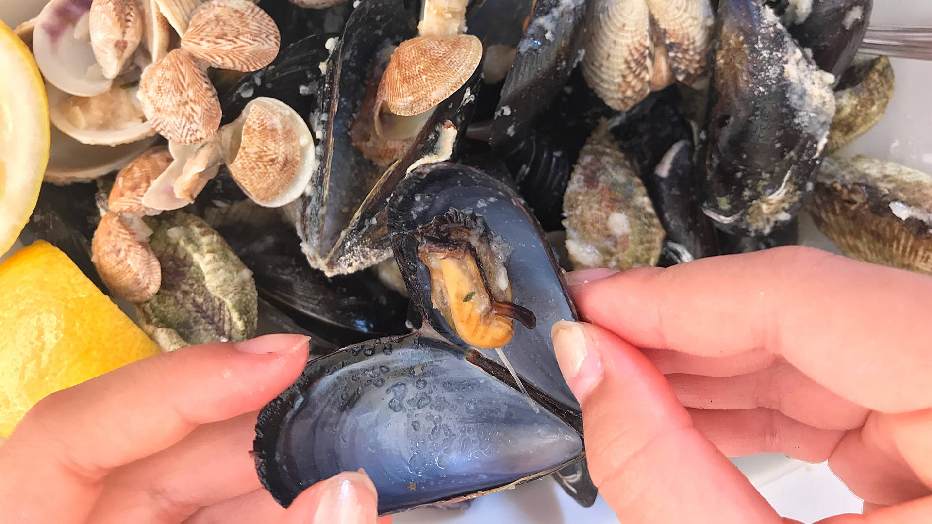 Mussel With Bright Orange Meat Background