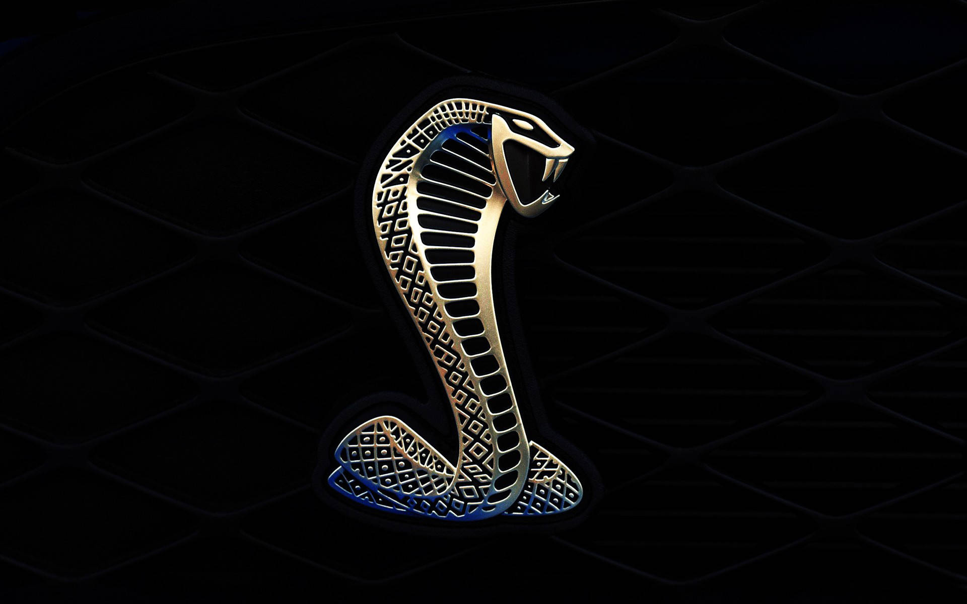 Mustang Hd Cobra Logo Black
