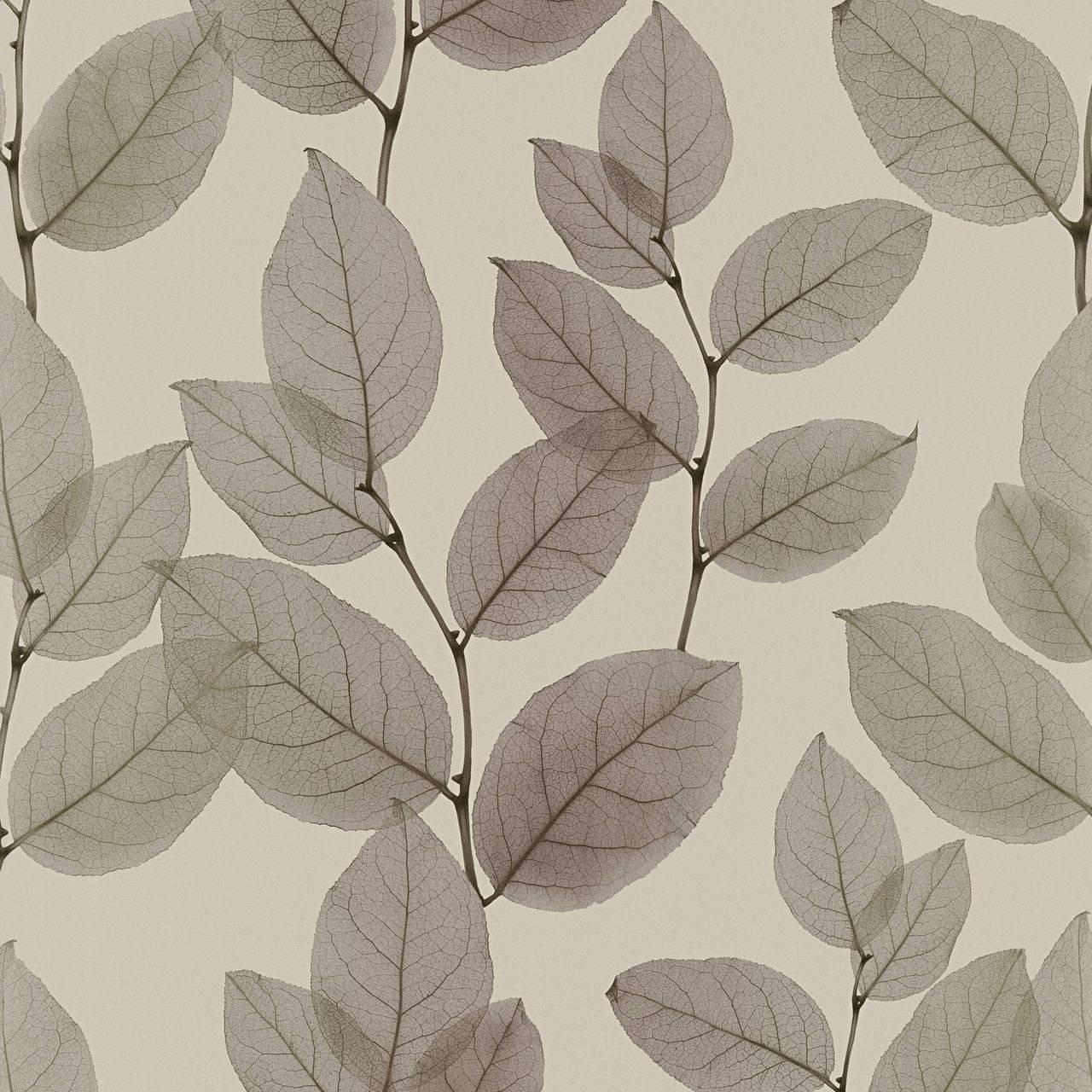 Muted Greyscale Leaf, The Perfect Backdrop For Any Surface. Background