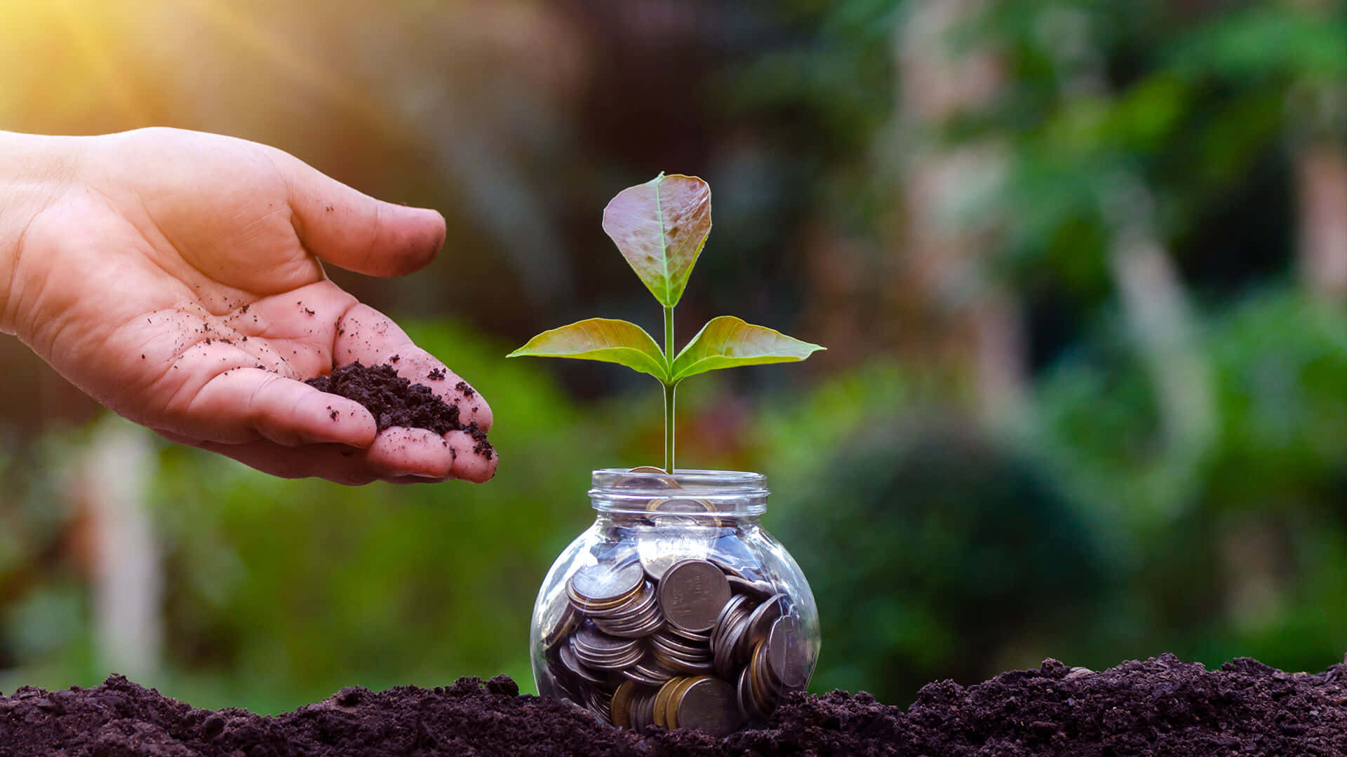 Mutual Funding Opportunities Background