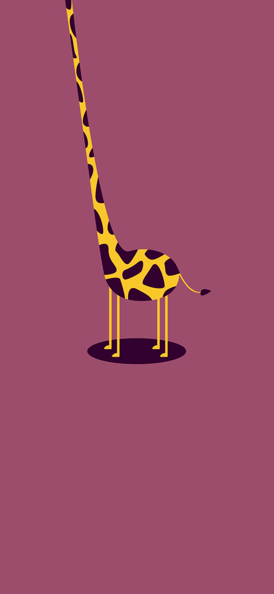 “my Grandma Always Said I Was Too Tall”