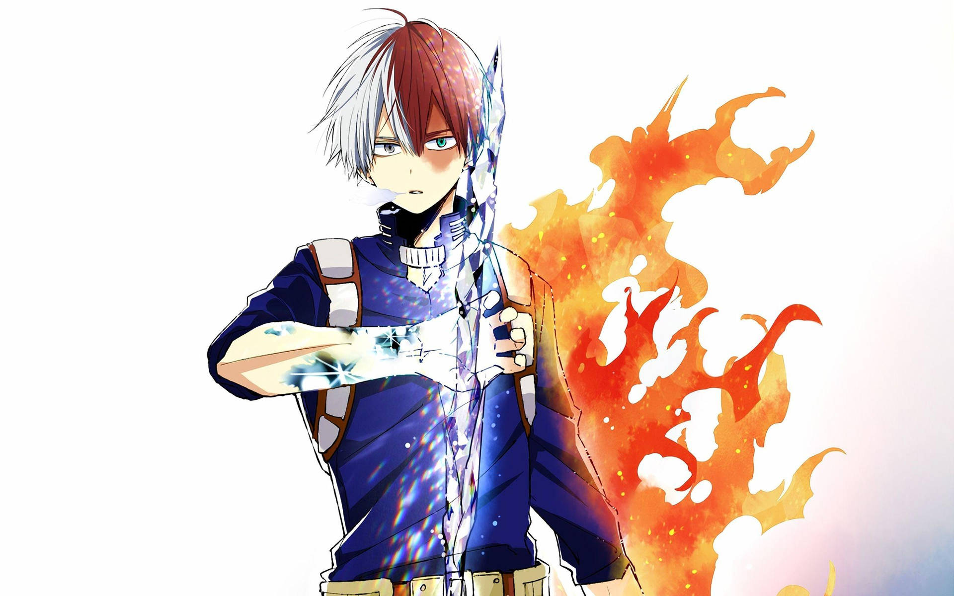 My Hero Academia Todoroki Ice Shard And Fire