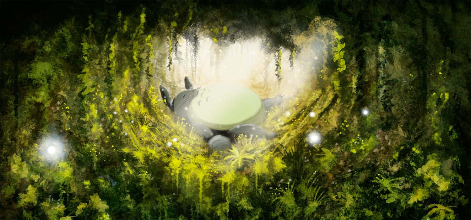 My Neighbor Totoro 1500 X 701 Wallpaper