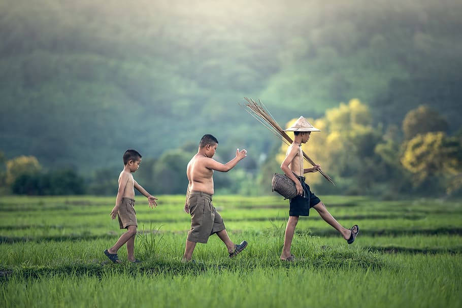 Myanmar Farming Kids Background