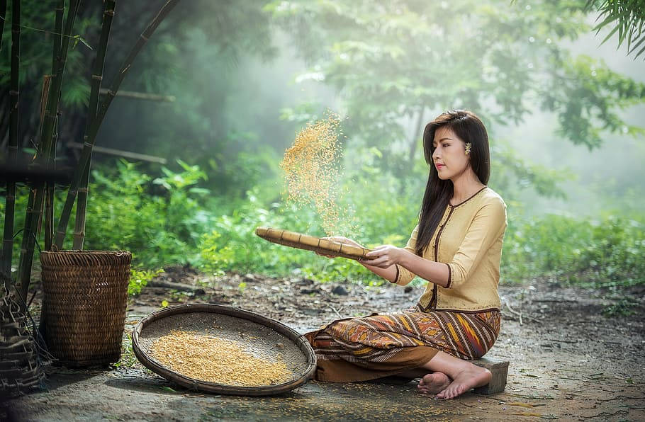 Myanmar Girl Rice Sorting Background