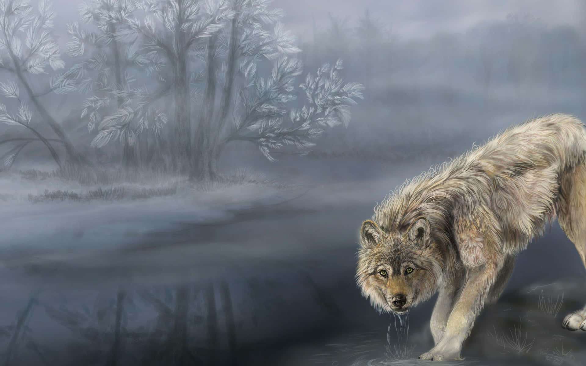 Mysterious And Alluring, A Mystical Wolf Glares In The Dark Background