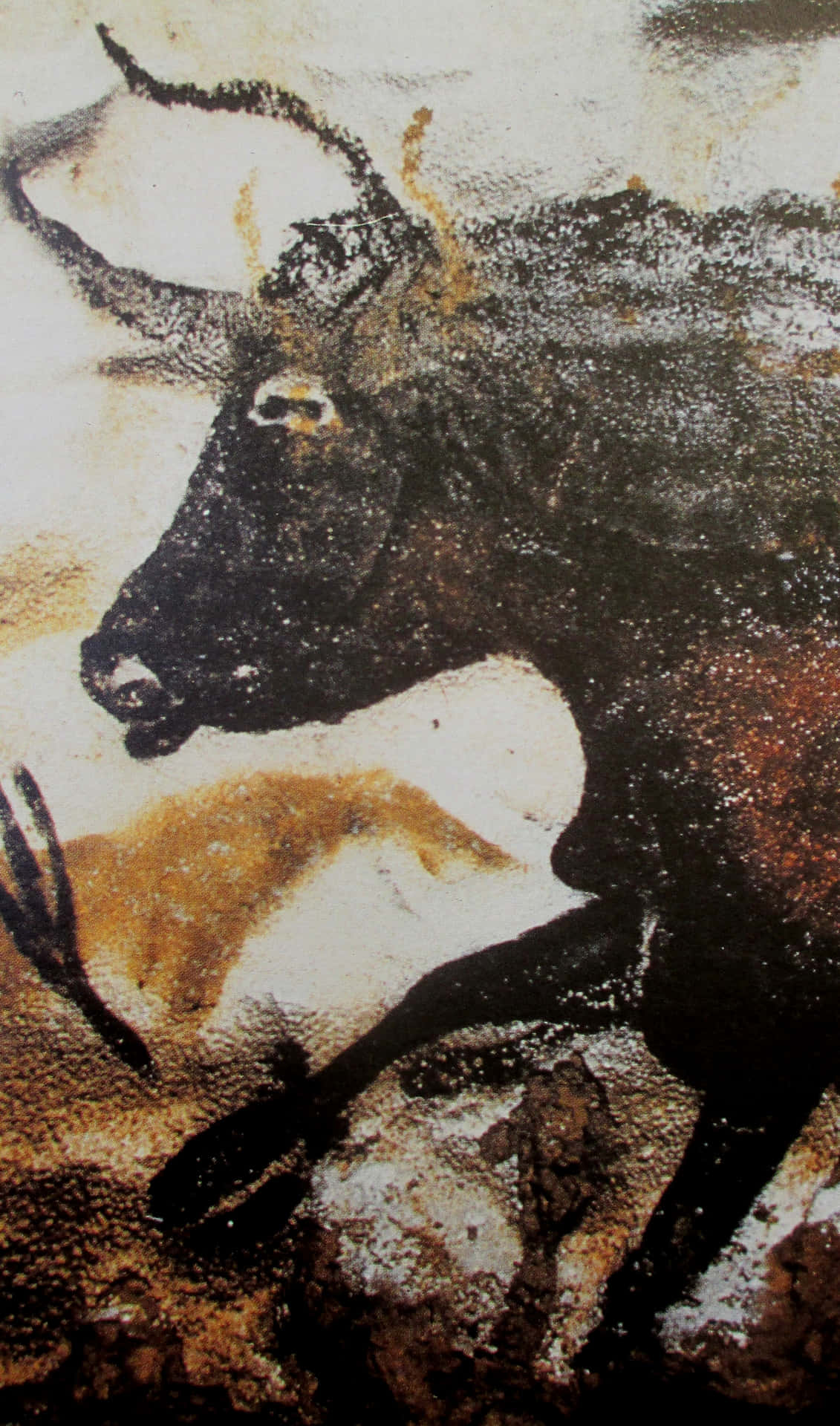 Mysterious And Captivating Lascaux Caves, France Background