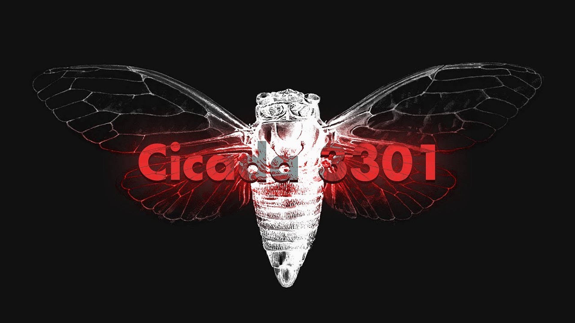 Mysterious Cicada 3301 Internet Puzzle Poster.