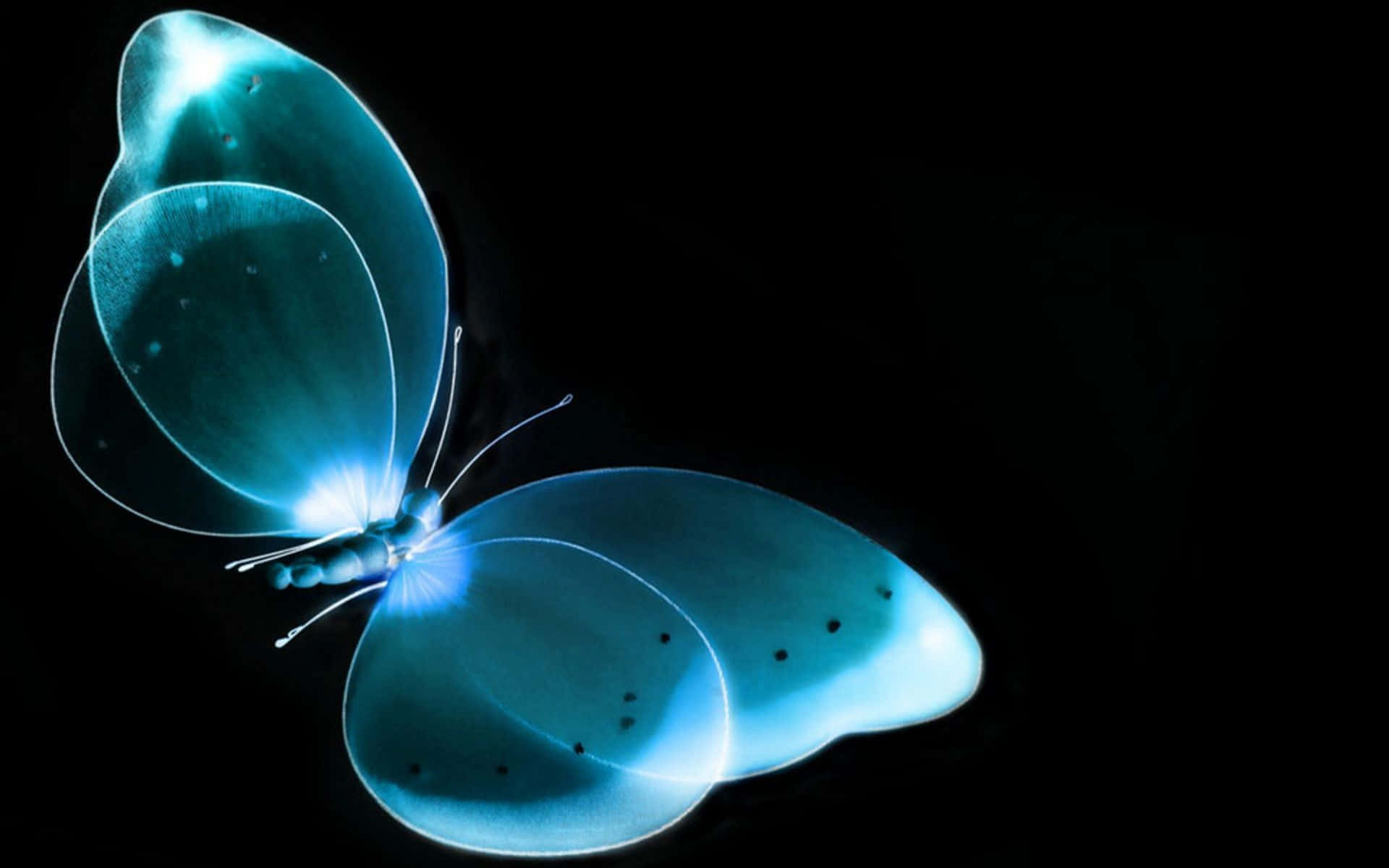 Mysterious Dark Butterfly In Enchanting Forest Background