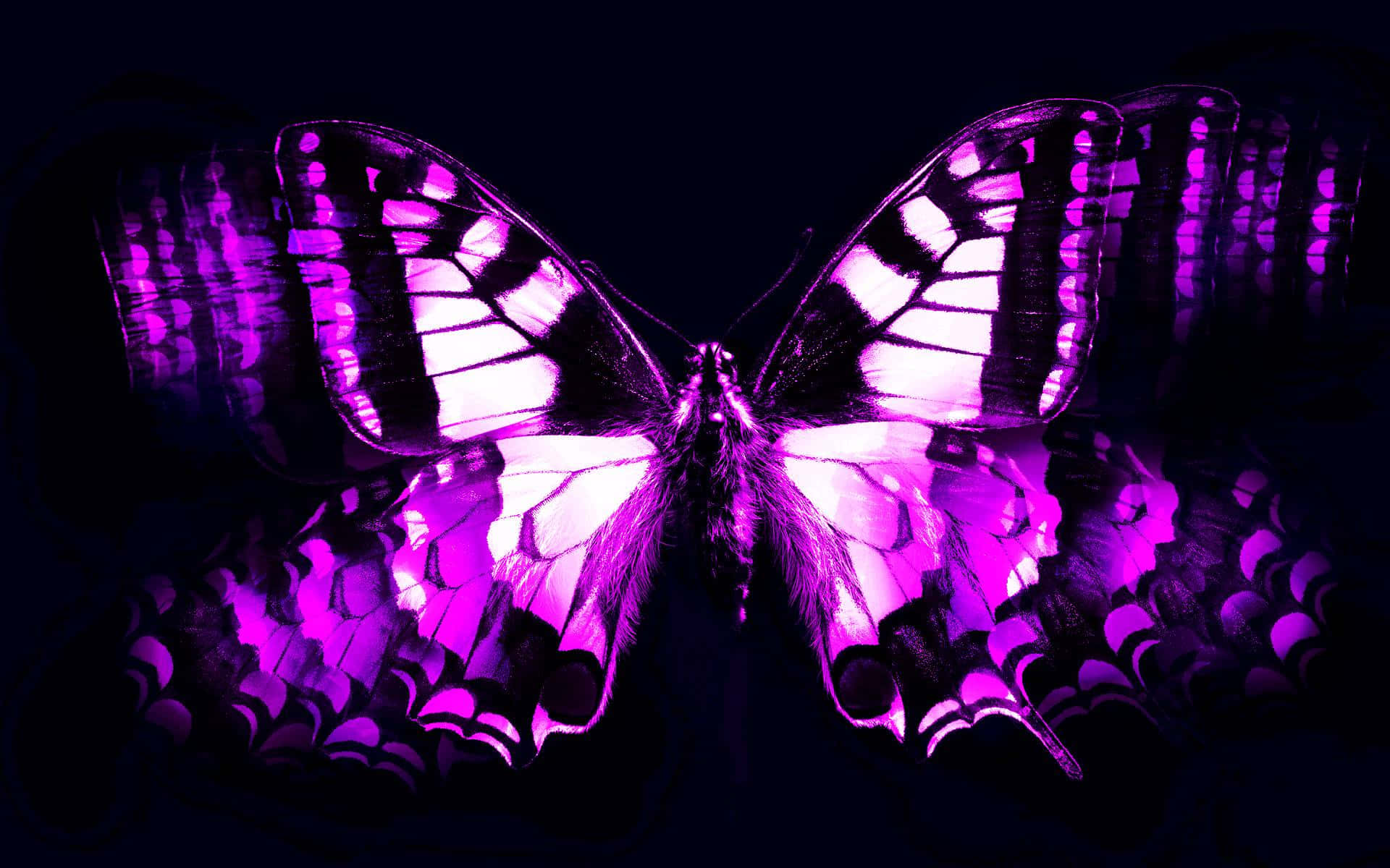 Mysterious Dark Butterfly Background