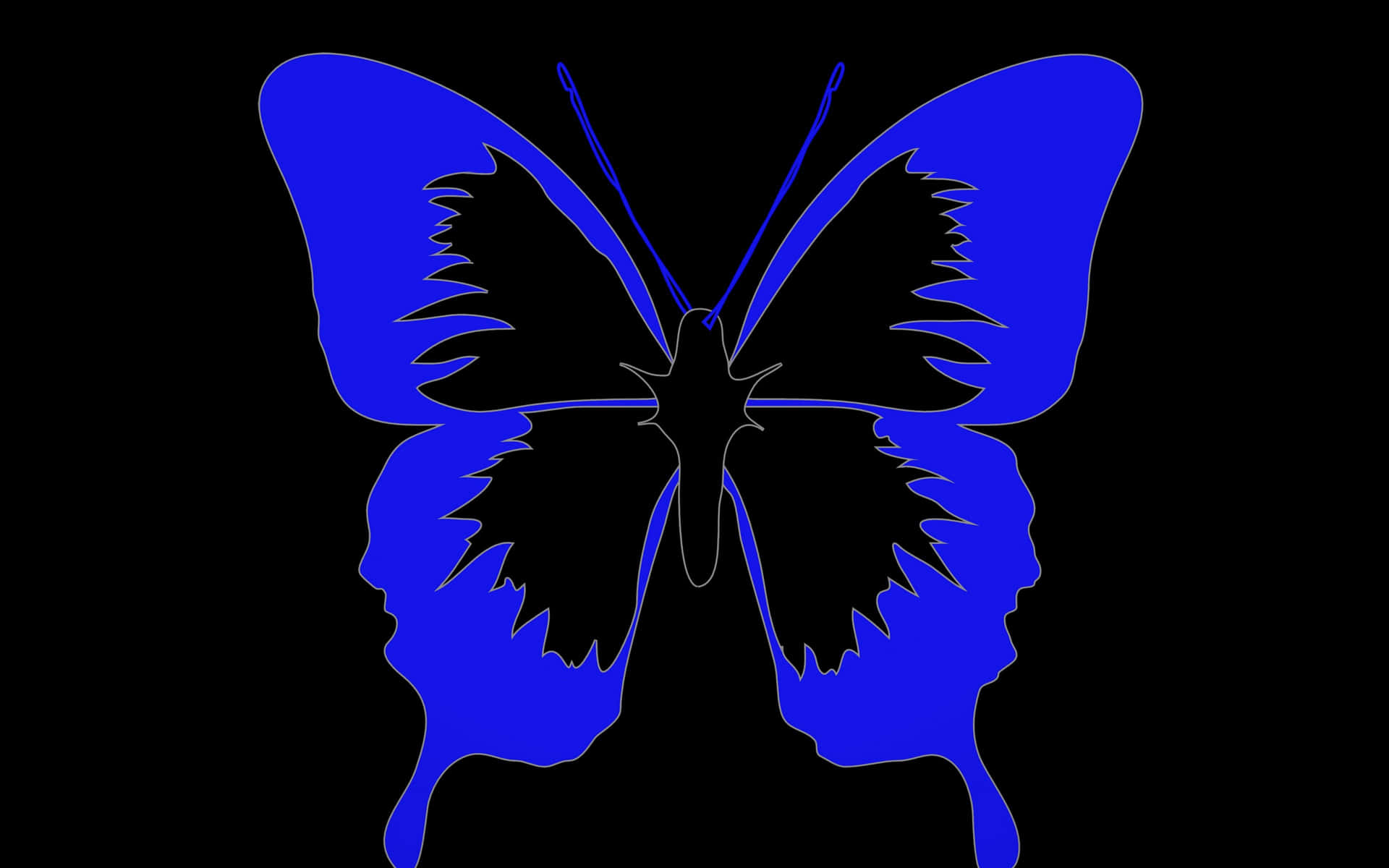 Mysterious Dark Butterfly Perching On Purple Flowers Background
