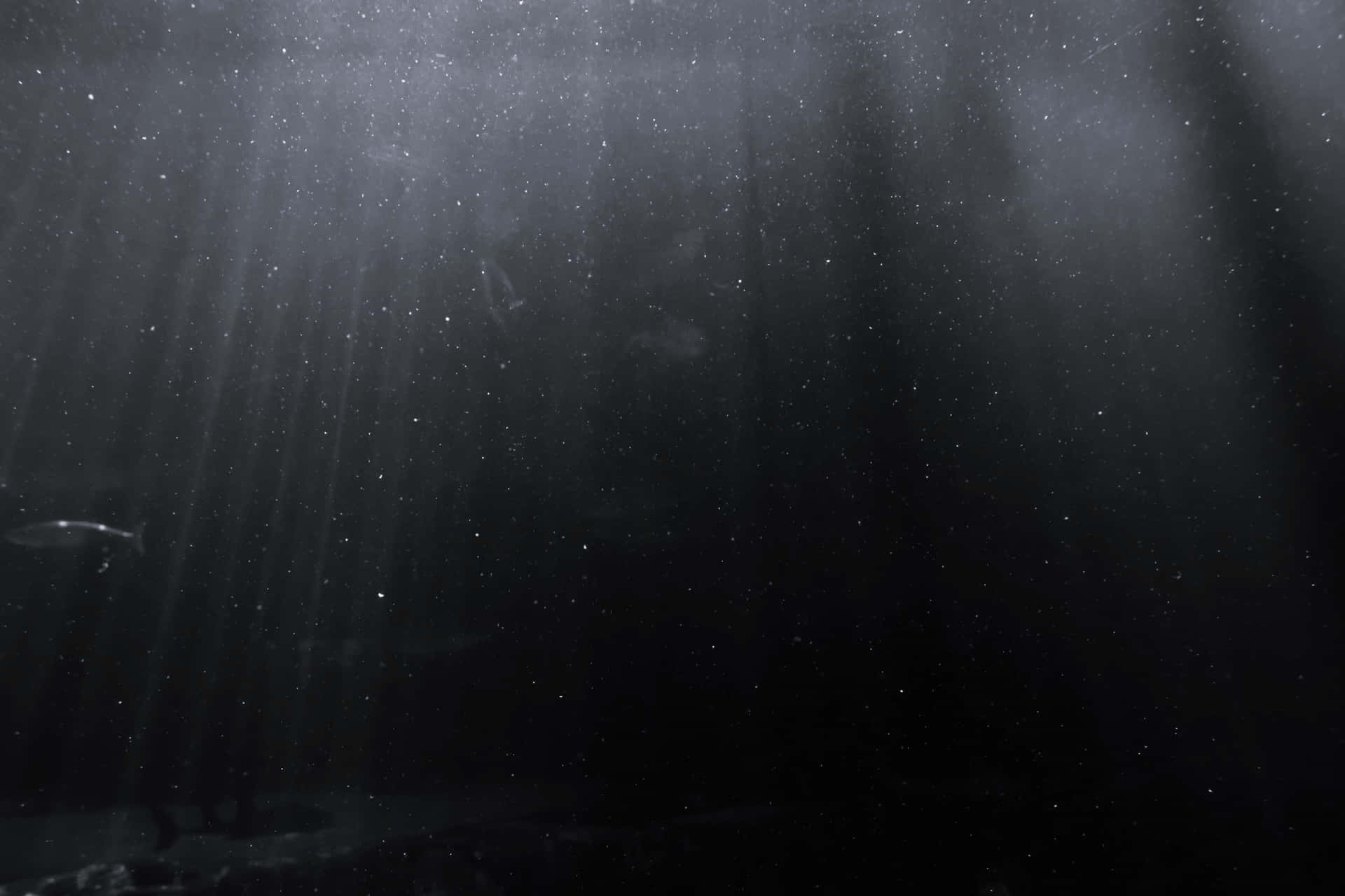 Mysterious_ Deep_ Sea_ Scene_4 K.jpg Background