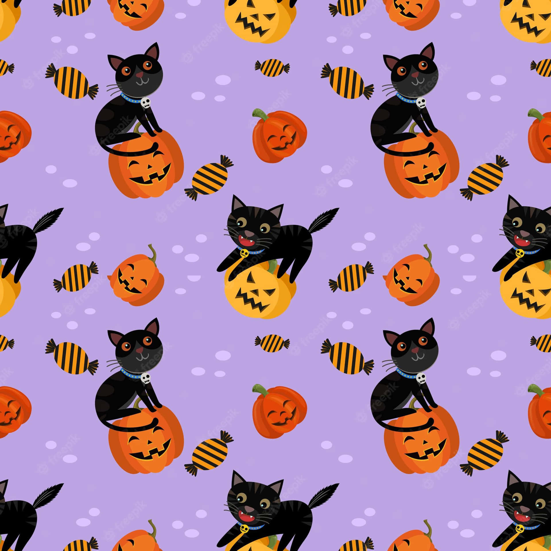 Mysterious Halloween Cat Lurking In The Shadows Background