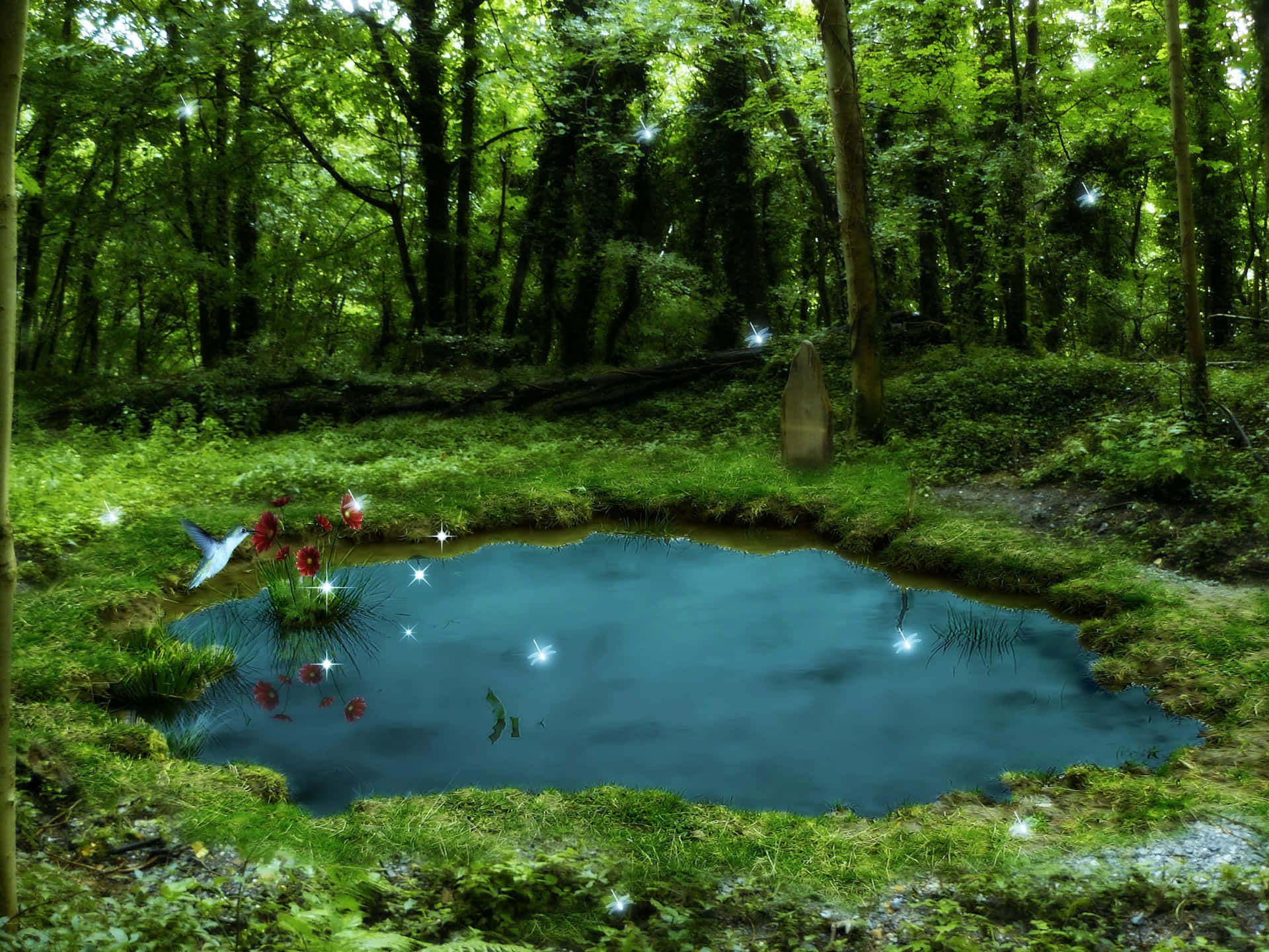 Mysterious Pond In Forest Background