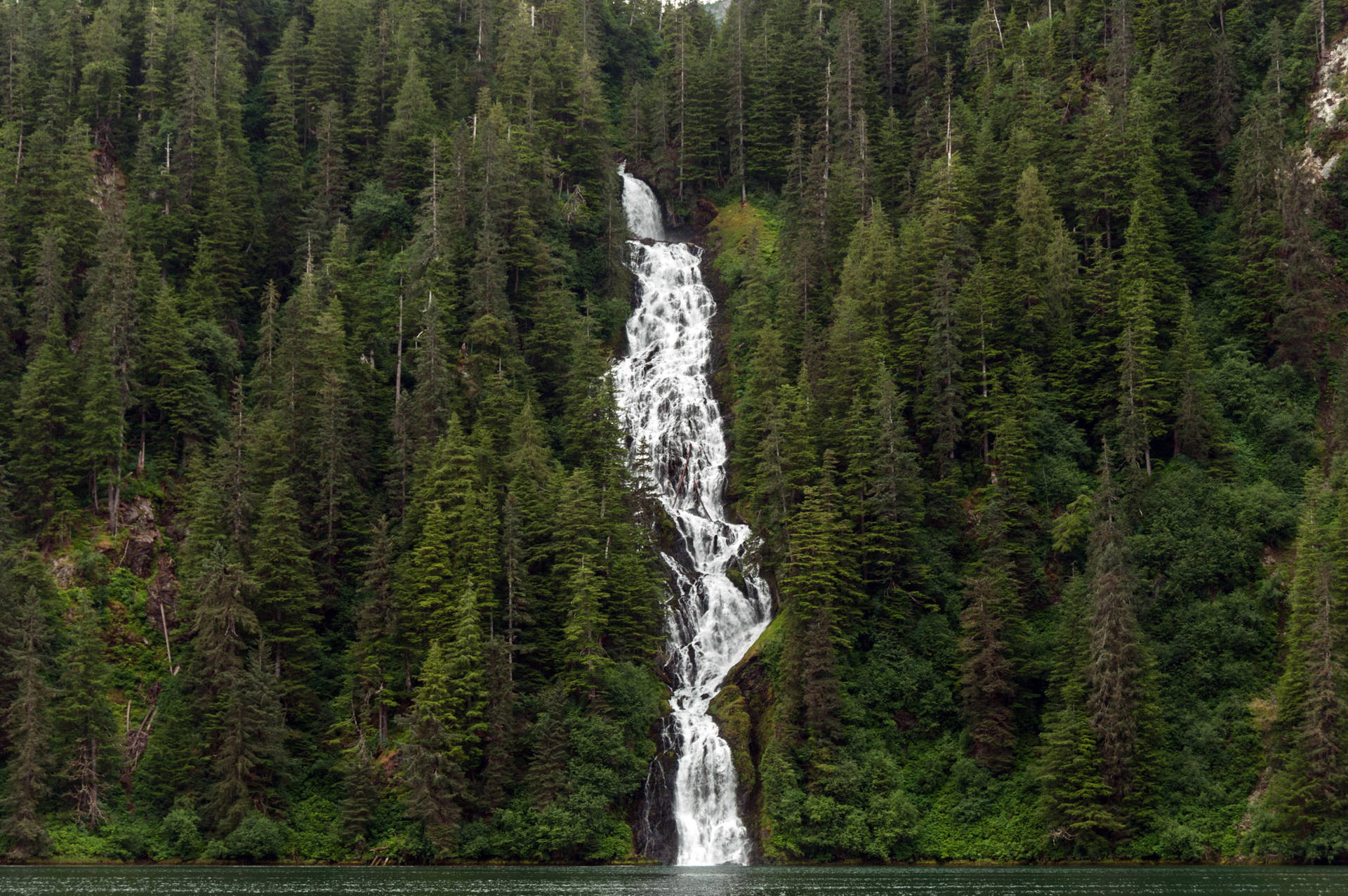 Mystical Alaska Temperate Rainforest Background